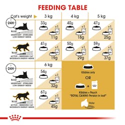 Royal Canin Persian Adult Cat Food